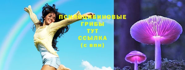 spice Надым