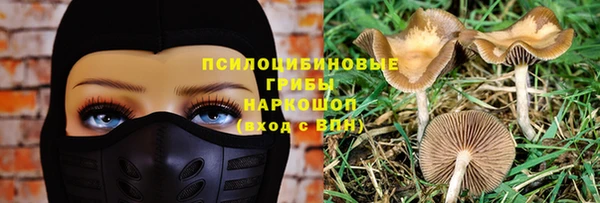 spice Надым
